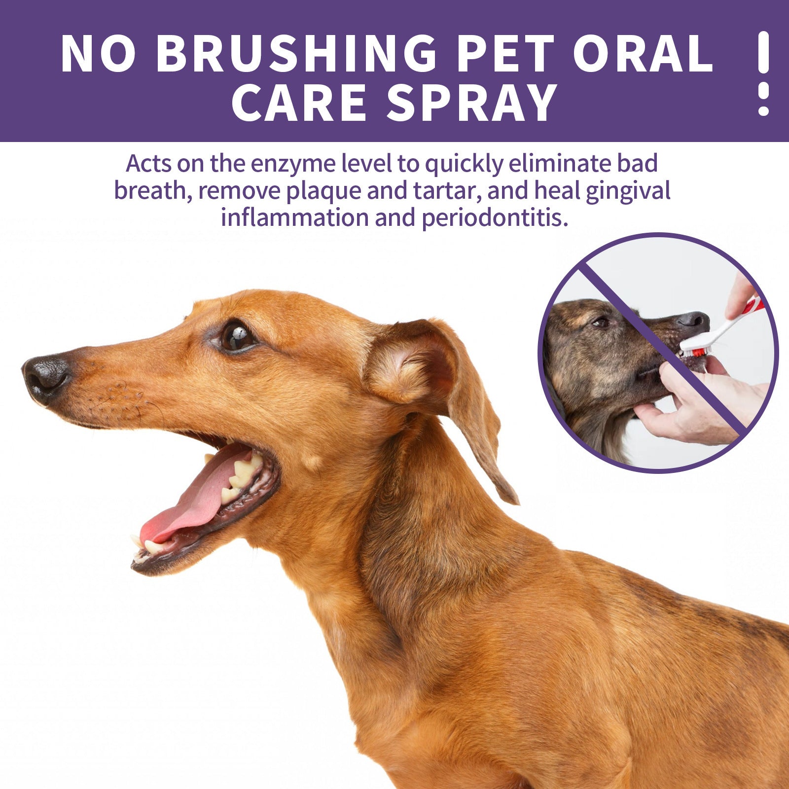 Pet Dog Cat Teeth Cleaning Spray Remove Tartar Teeth Stains Pets dealsniper-net