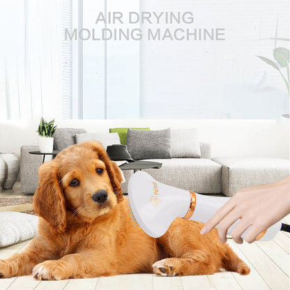 Two-in-one Pet Hot Air Comb Dog Cat Hair Comb Pets Gym From House