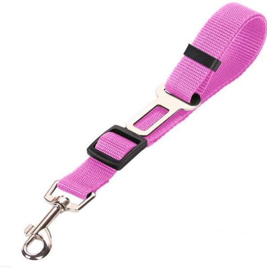 Pet Car Seat Belt Pet Leash Pets Gym From House
