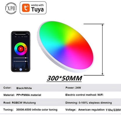 RGBCW Full Color Dimming Smart WiFi Ceiling Lamp Home Decor Gym From House