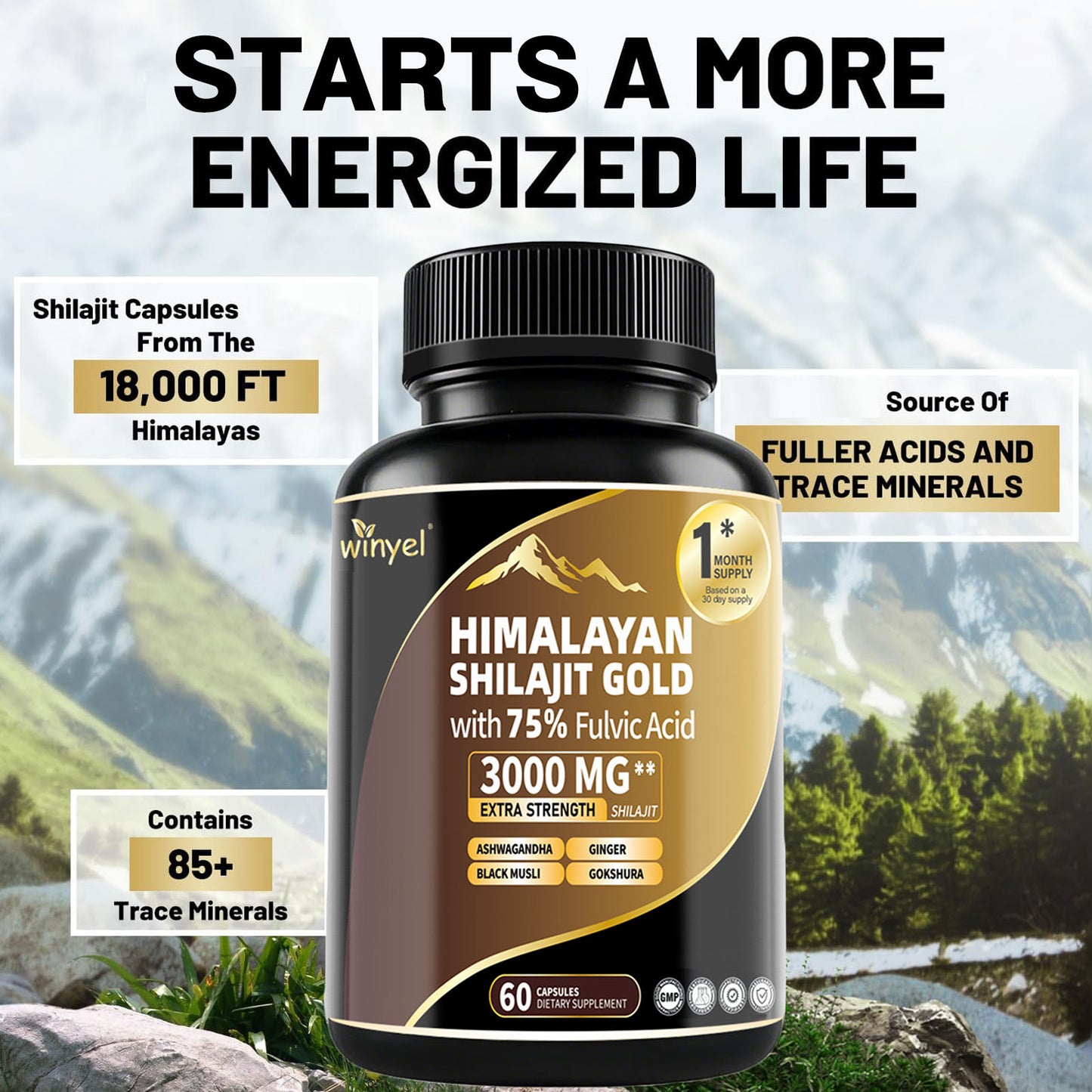 Shilajit Capsules, Ashwagandha Gokshura, 85 Trace Minerals Beauty Gym From House