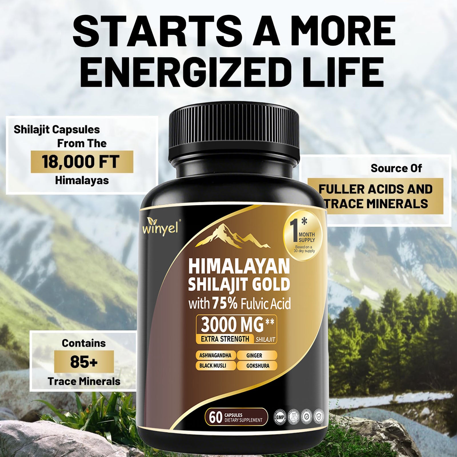 Shilajit Capsules, Ashwagandha Gokshura, 85 Trace Minerals Beauty Gym From House