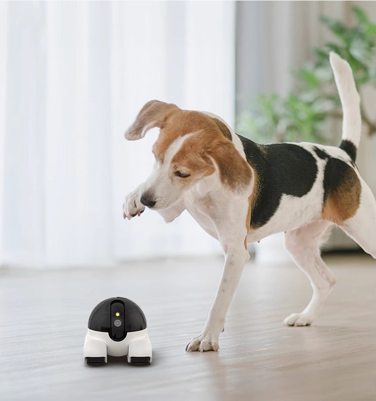 Mobile Home Mobile Phone Remote Wireless Pet Surveillance Camera House Gym From House