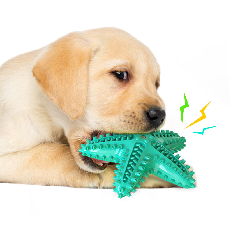 Starfish Vocal Pet Dog Toy Molar Stick Pets Gym From House Blue
