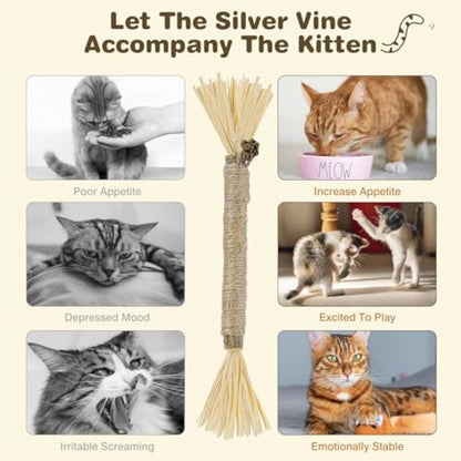 3 Pack Silvervine Sticks For Cats Cat Chew Toy For Dental Care Pets Gym From House