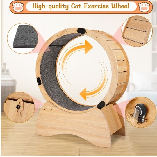 Cat Treadmill With Carpeted Runway Kitty Cat Sport Toy