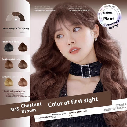 Intelligent Easy To Comb And Dye Plant Formula Beauty DealSniper.net Chestnut Brown 410ML