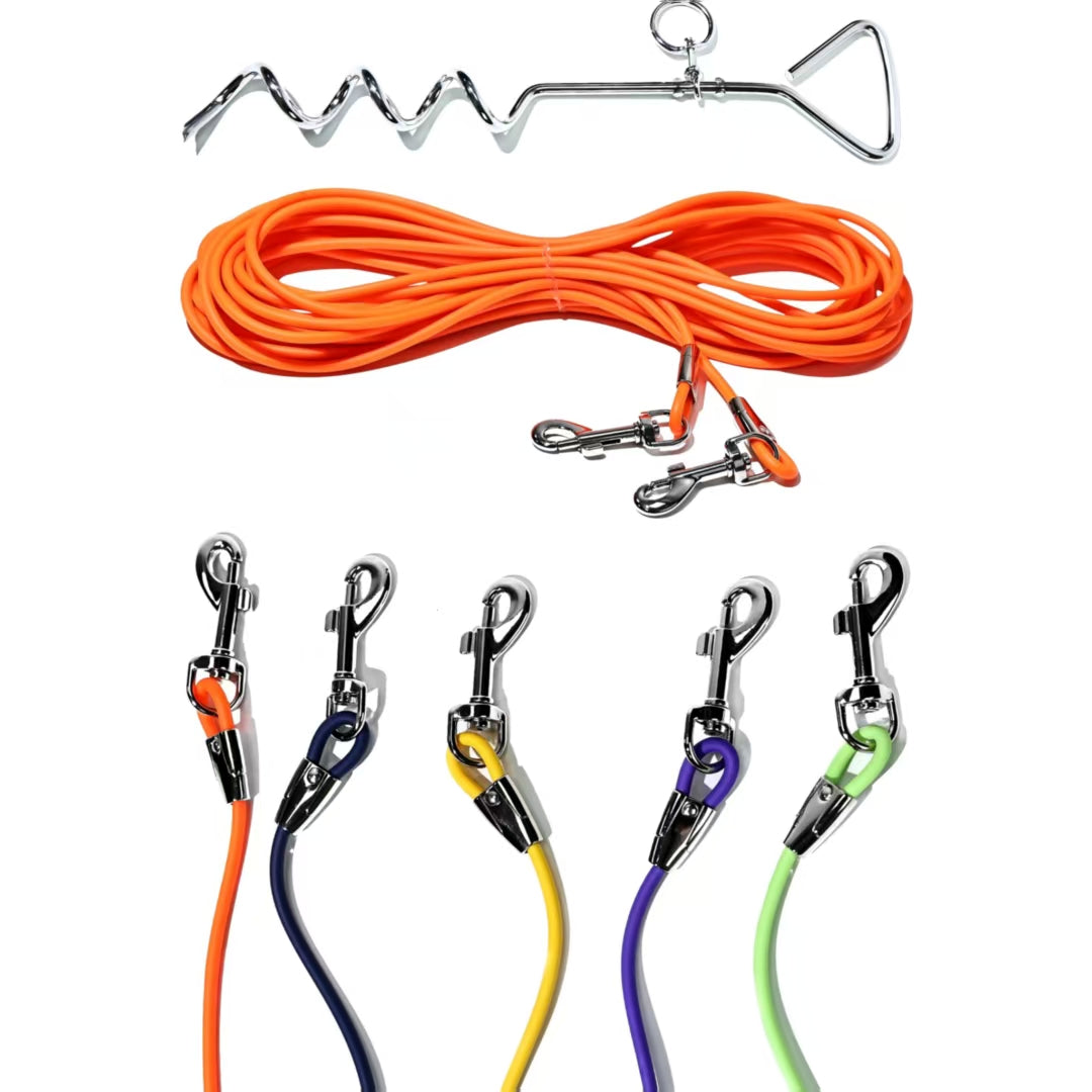 Ground Stake Fixed Dog Leash Pets dealsniper-net