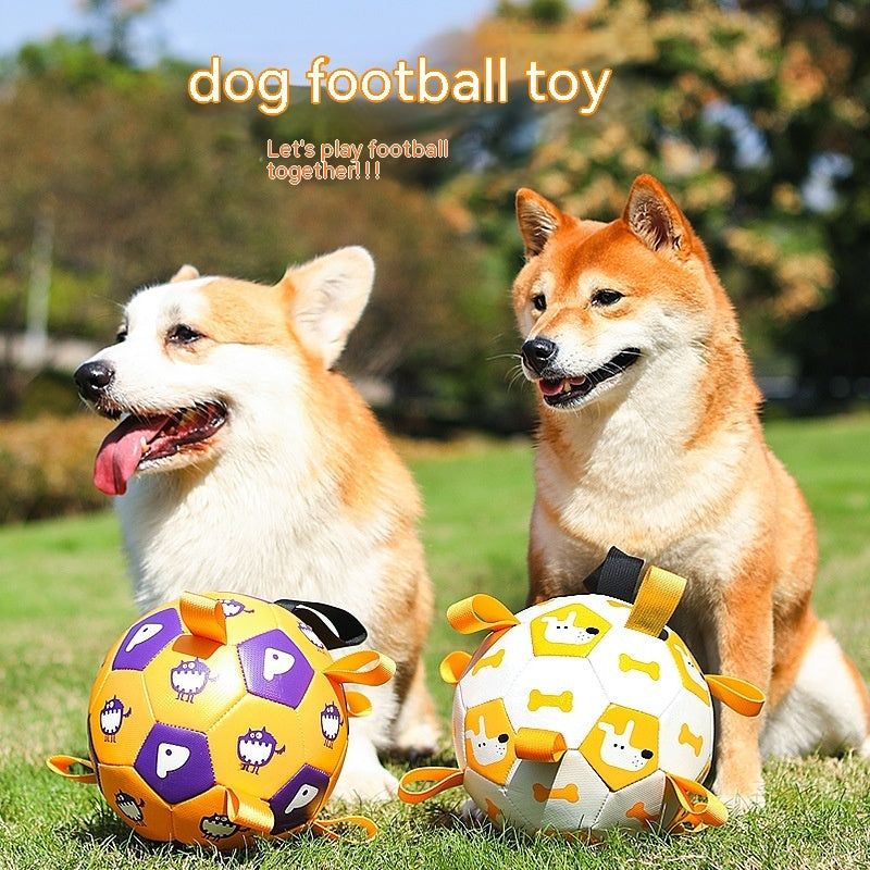 Dog Interactive Football Toys Children Soccer Dog Outdoor Pets dealsniper-net