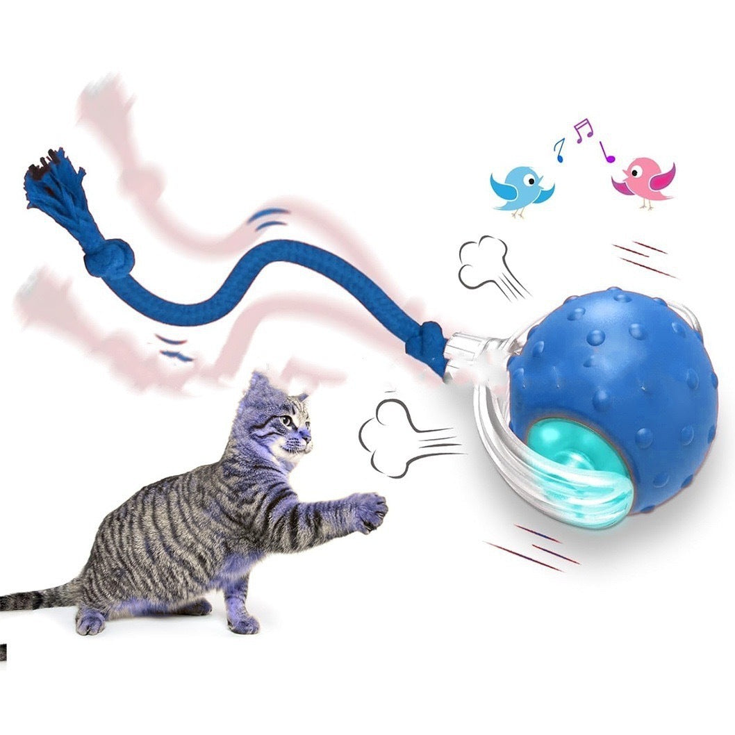 Interactive Cat Toy Ball Super Drive Cat Rolling Ball Pets Gym From House The birds call is Blue