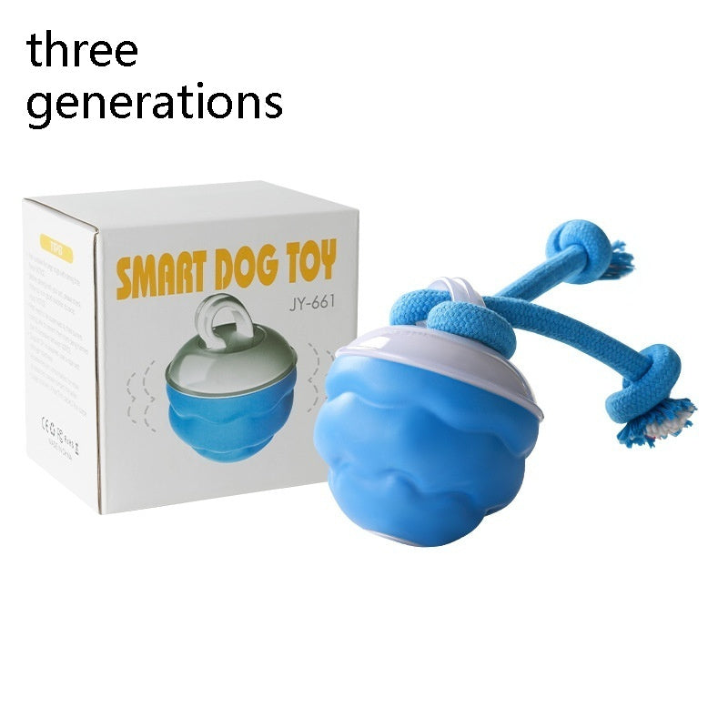 Pet Ball For Dogs Interactive Toys Motion Activate Rolling Ball Pets Gym From House 3generations