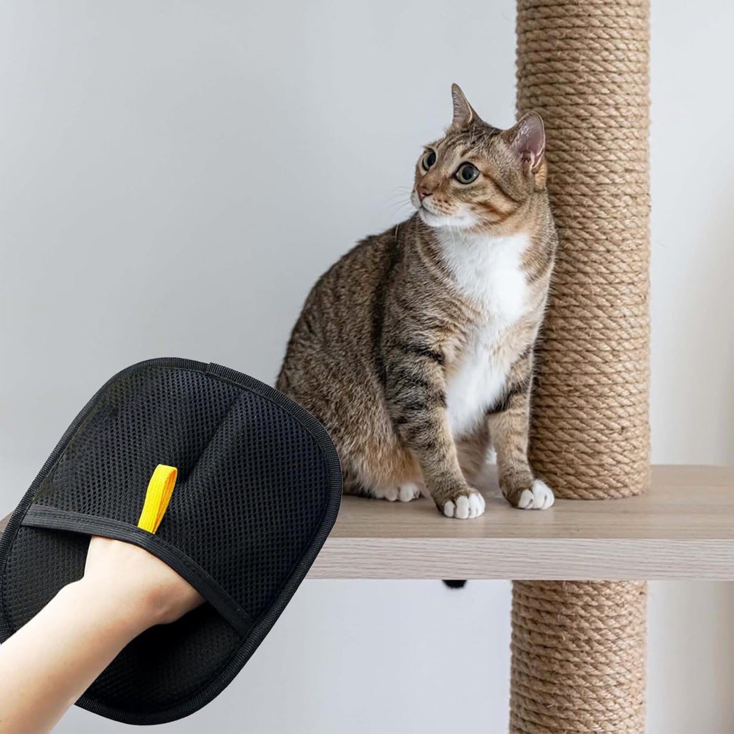 Pet Electrostatic Hair Removal Gloves Two-way Bristle Remover Pets DealSniper.net