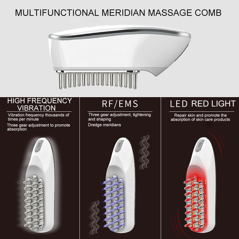 Head LED Red Light Scalp Massage Electric Comb Health Gym From House