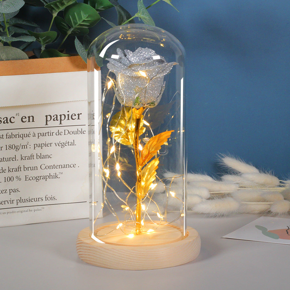 Valentines Day Gift For Girlfriend Eternal Rose Flowers LED Light In Glass Deals DealSniper.net Grey