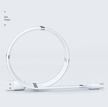 Magnetic absorption nano data line