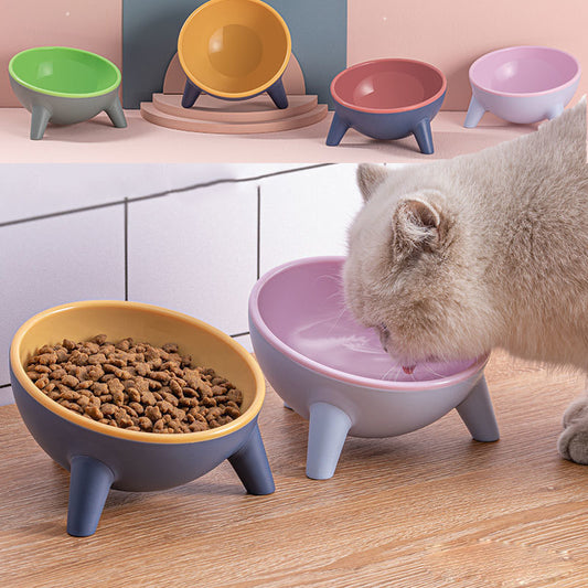 Cat Dog Bowl With Stand Pet Feeding Food Bowls Pets Gym From House
