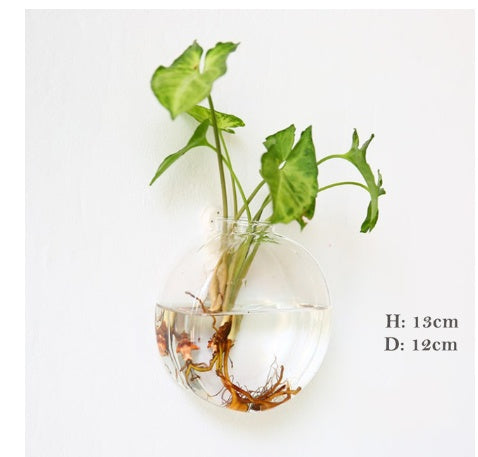 Fashion Wall Hanging Glass Flower Vase Terrarium Wall Fish Tank