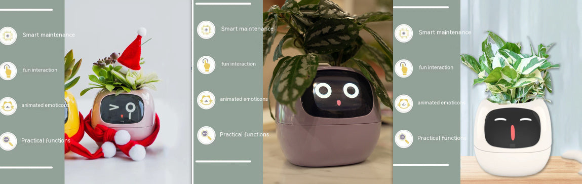 Smart Planter Endless Fun Over 49 Rich Expressions