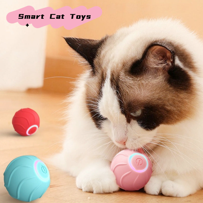 Smart Cat Toys Rolling Ball Pet Cat Owner Interactive Pets Toys Pets dealsniper-net