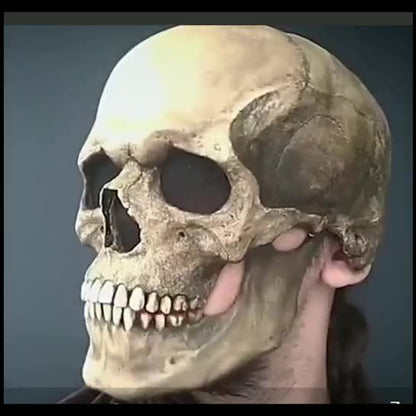 Full Head Skull Mask Helmet With Movable Jaw 3D Skeleton Skull