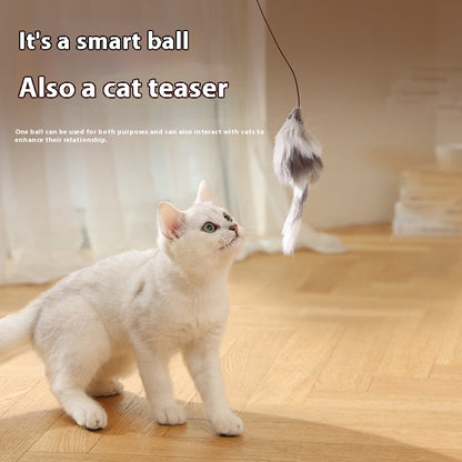 Cat Toys Mouse Teaser Ball Funny Moving Toy For Pets Pets dealsniper-net