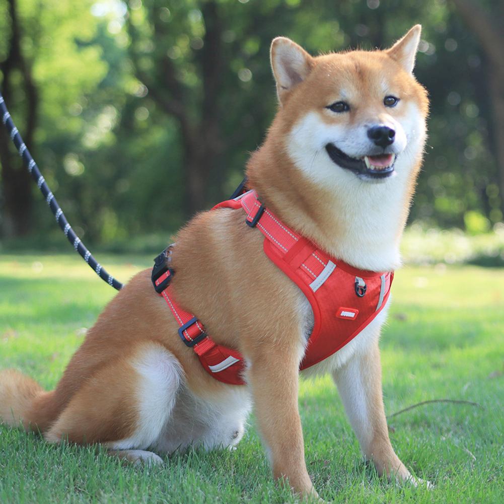 Nylon Dog Harness No Pull Breathable Reflective Pet Harness Pets Gym From House