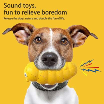 Pet Toys New Teething Dog With A Weird Barking Bug Pets Gym From House