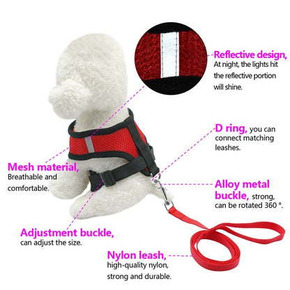 Pet Car Seat Belt Pet Leash Pets Gym From House