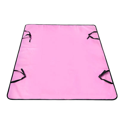Car Pet Mat Rear Seat Water And Dirt Resistant Isolation Pad Pets Gym From House Pink Rear Pad