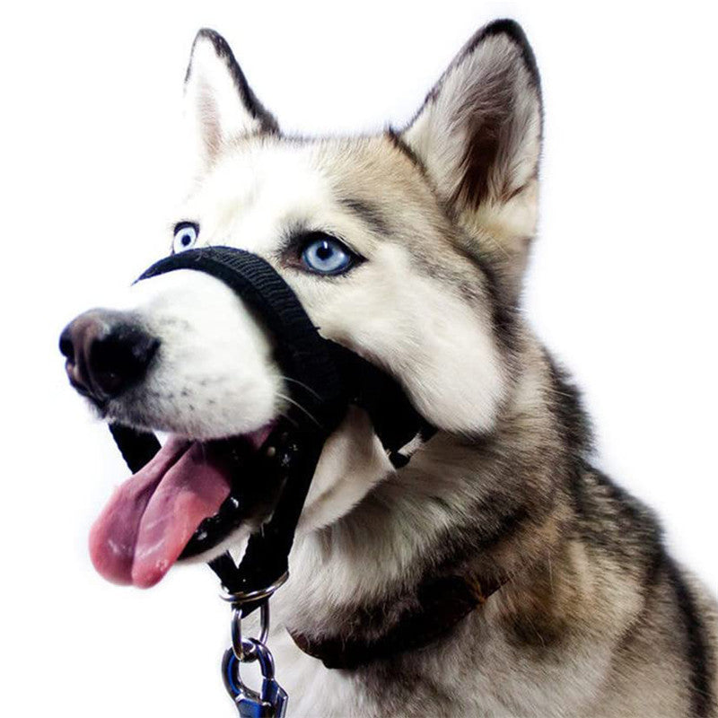 Dog Muzzle Adjustable Anti-bite Mask For Pets Pets dealsniper-net Black 2XL