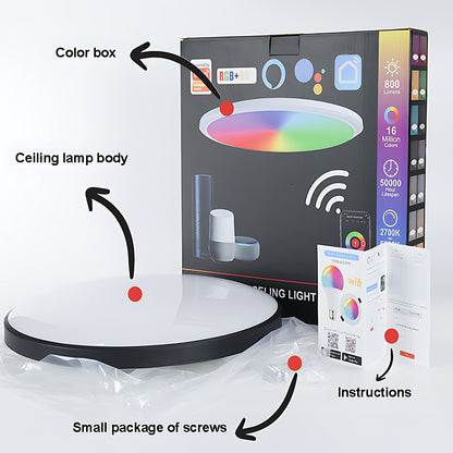 RGBCW Full Color Dimming Smart WiFi Ceiling Lamp Home Decor Gym From House