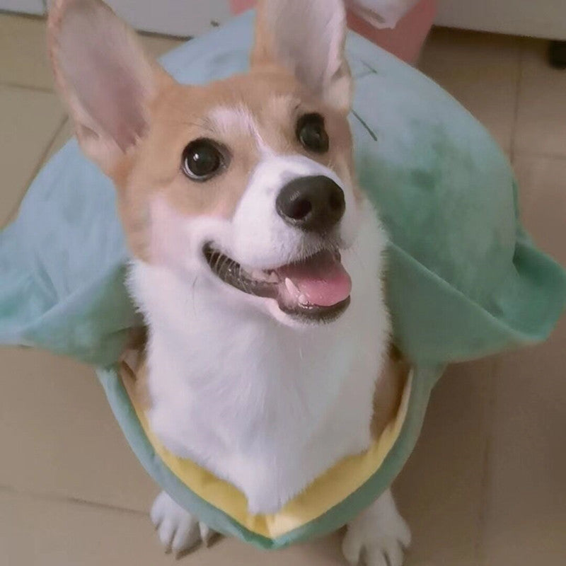 Turtle Shell Pet Vest Funny Clothes Pets Gym From House
