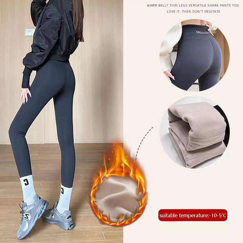 Fleece Thickened Leggings Winter -20 To 5 Shark Pants Women dealsniper-net Grey 500g