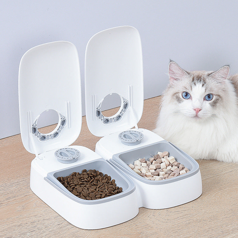 Pet Automatic Timing Feeder Puppy Pets Gym From House