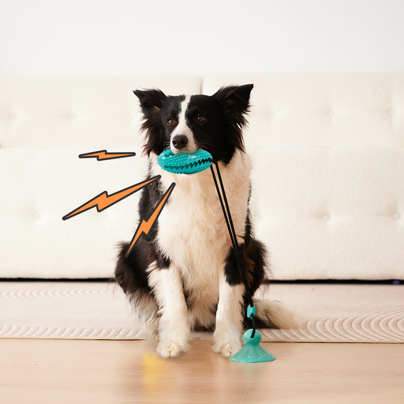 Suction Cup Pull Rope Leaking Pet Toy Ball Tpr Molar Pets dealsniper-net