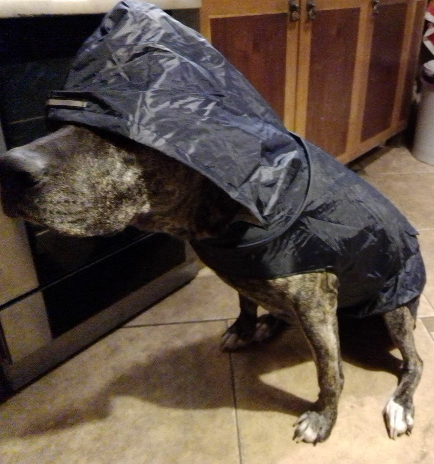 Pet Waterproof Windproof Hood Puppy Raincoat Pets dealsniper-net