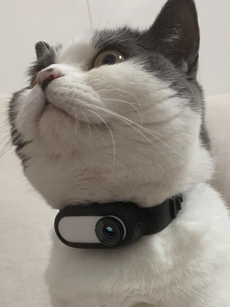 Pet Supplies Cat And Dog Collar Camera Wireless Recording Pets dealsniper-net Black Black Collar Camera