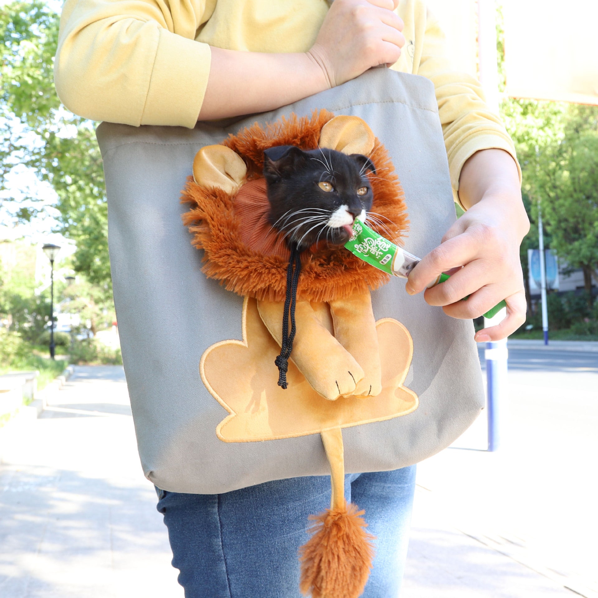 Soft Pet Carriers Lion Design Portable Breathable Bag Pets Gym From House