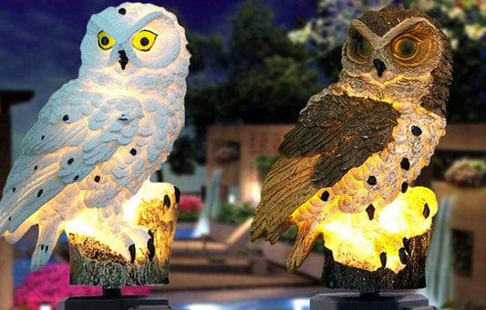Solar Owl Garden Light Outdoor LED Lawn Lamp For Garden Decoration Ai Recorder Gym From House