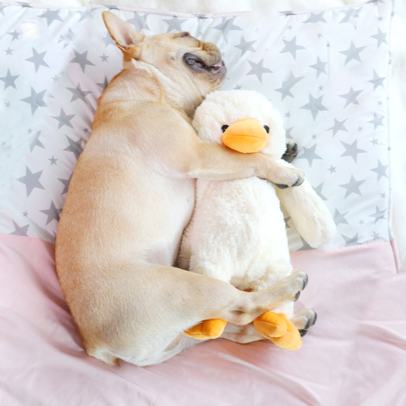 Pet Supplies Dog Plush Toys Pets Gym From House