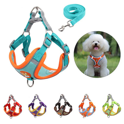 New Dog Leash And Harness Set Pet Dog Harness And Leash Set Pets dealsniper-net