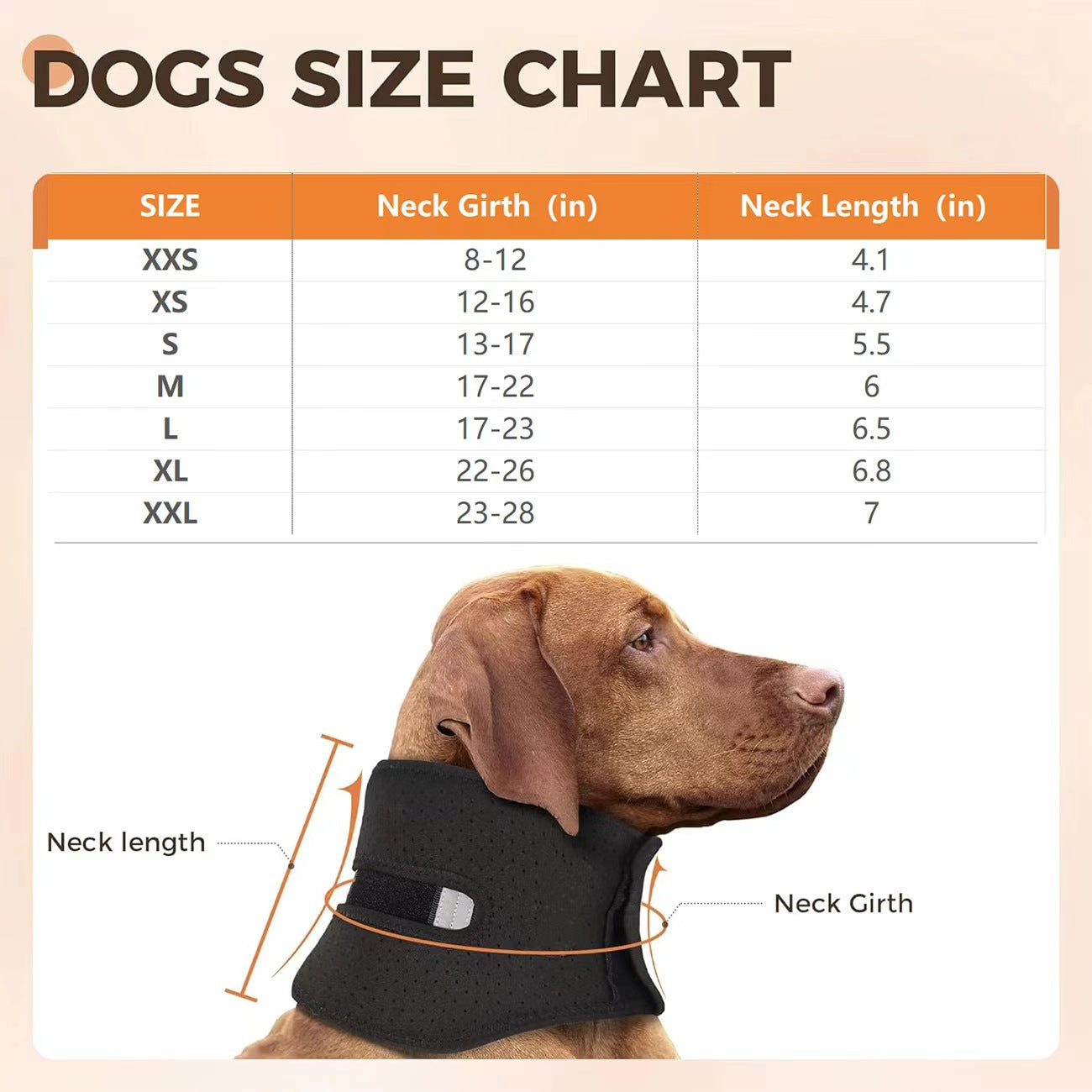 NEW Dog Support Collar Collar Anti-licking Sprained Pets Gym From House