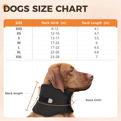 NEW Dog Support Collar Collar Anti-licking Sprained Pets Gym From House