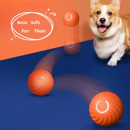 Pet Dog Rubber Ball Toys For Dogs Resistance To Bite Dog Chew Toys Puppy Pets Dogs Training Products Pets dealsniper-net