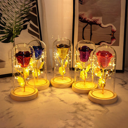 Valentines Day Gift For Girlfriend Eternal Rose Flowers LED Light In Glass Deals DealSniper.net