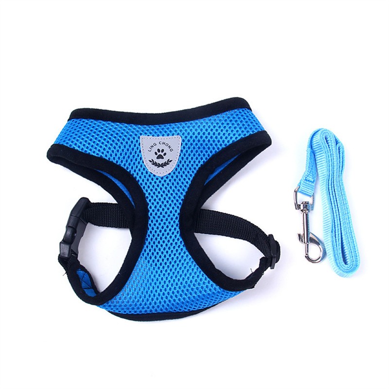 Pet Car Seat Belt Pet Leash Pets Gym From House Blue L