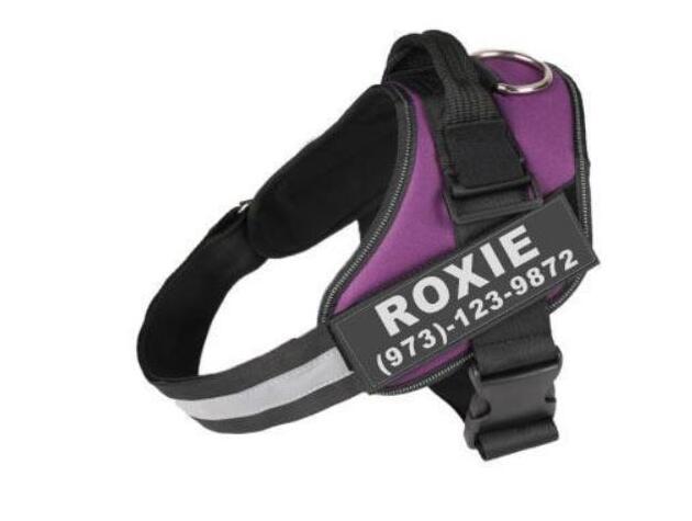 Personalized Custom Adjustable Reflective Breathable Dog Harness Pets dealsniper-net L Purple