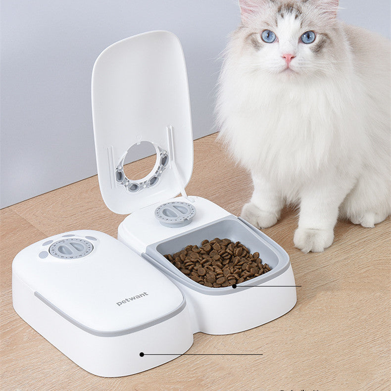Pet Automatic Timing Feeder Puppy Pets Gym From House