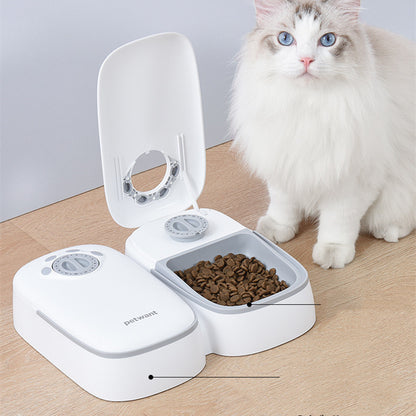 Pet Automatic Timing Feeder Puppy Pets Gym From House