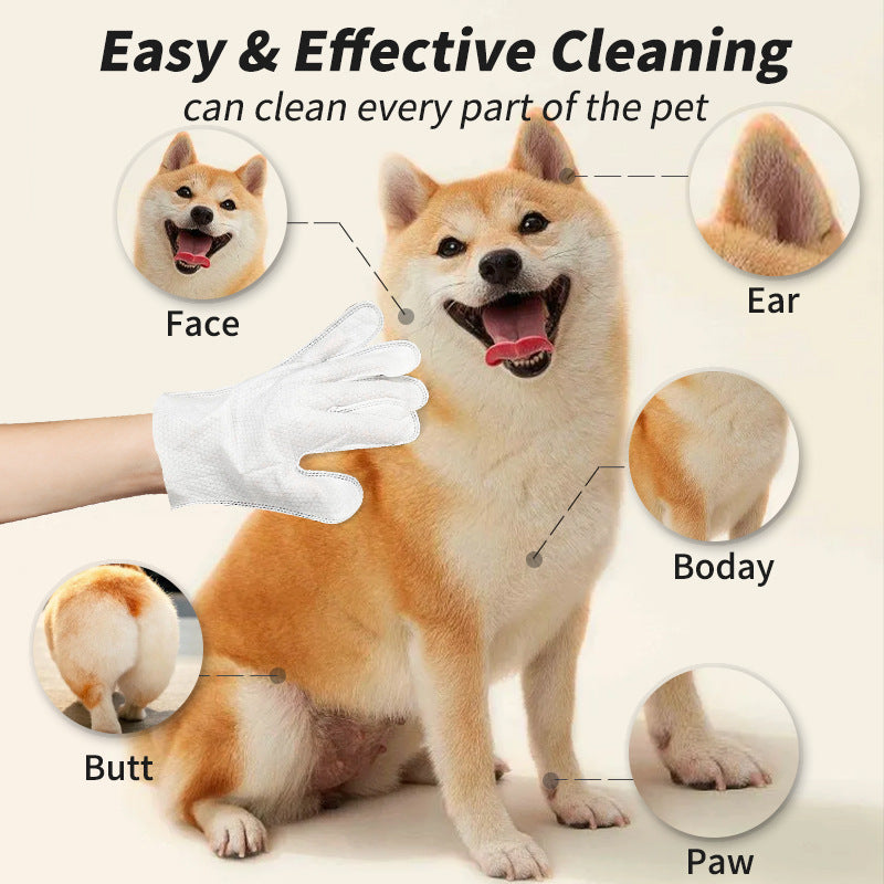 Pet Disposable Gloves Cat Dog Cleaning Dry Cleaning Pets dealsniper-net